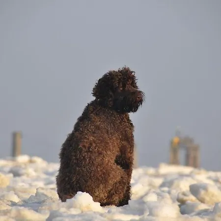 Rosenhof Apartamento