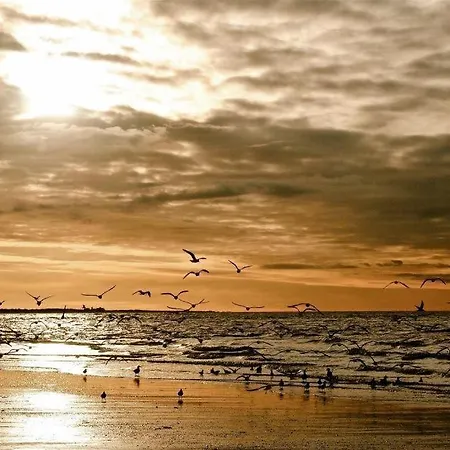 Rosenhof Norderney