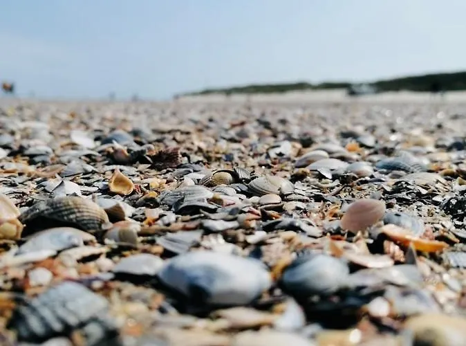 Rosenhof Daire Norderney