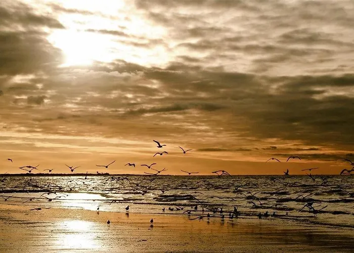 Rosenhof Norderney